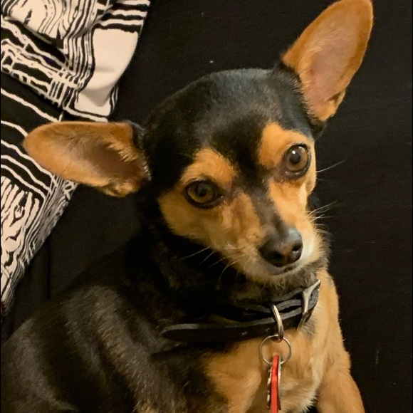 FOLLOW GAME 👗👠❤️👡👛👝💍 - Picture 4 of 10